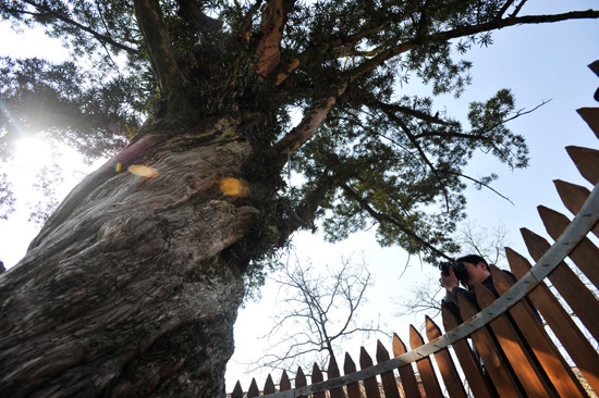 ǧ���޺���