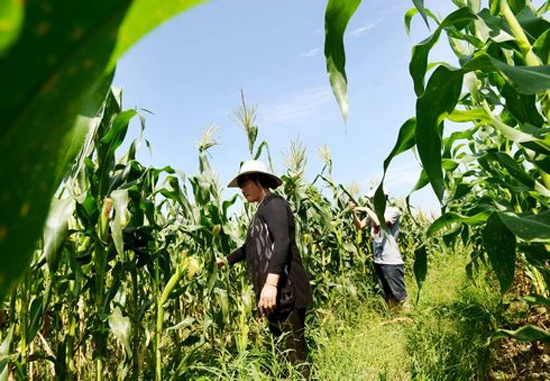 ����ˮ������